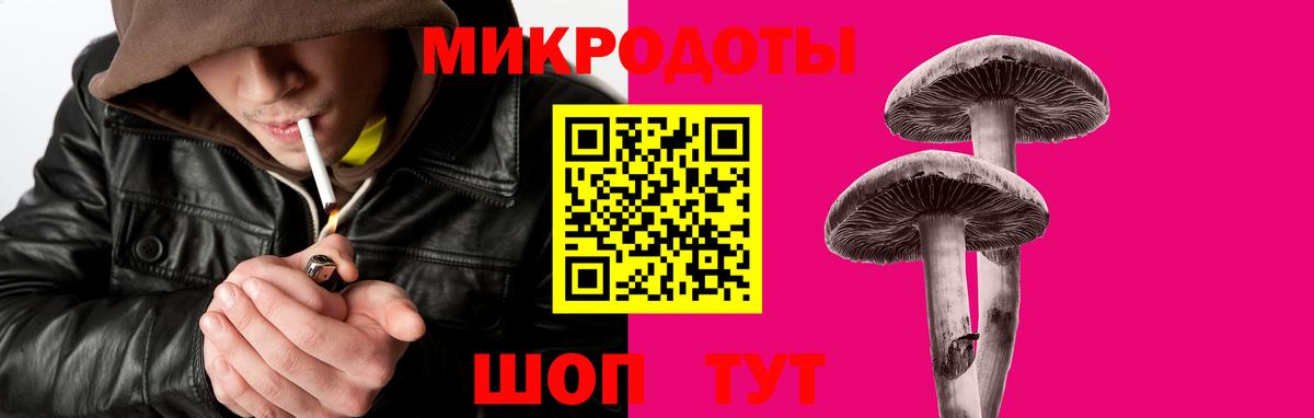 Алексеевка  Галлюциногенные грибы Psilocybine cubensis  Псилоцибиновые грибы MAGIC MUSHROOMS  Вход с VPN 